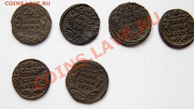 погодовка ПОЛУШЕК красивых до 22-00 12 апреля - _MG_2078