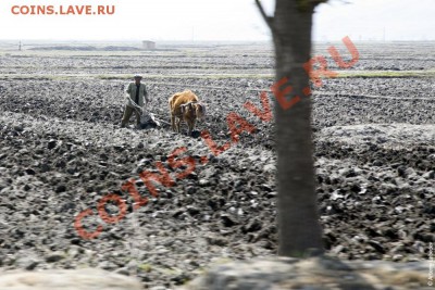 Северная Корея готовится к массовому самоубийству? - _MG_0150