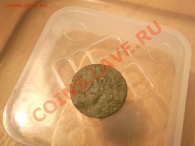 Деньга Петра - DSCF0828.JPG