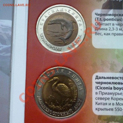 ЯНАО, КК, Сочи, Эмблема, Бим мешк и обор, ГВС, Юб 1999-2001 - КК 5.JPG