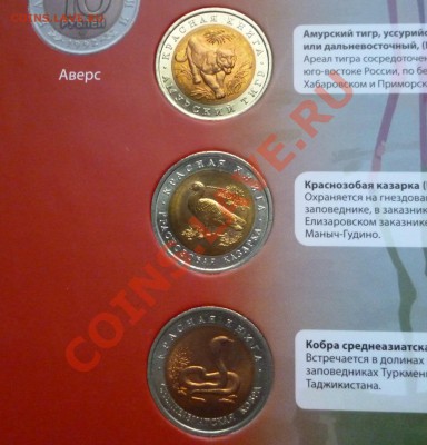 ЯНАО, КК, Сочи, Эмблема, Бим мешк и обор, ГВС, Юб 1999-2001 - КК 4.JPG
