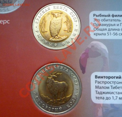 ЯНАО, КК, Сочи, Эмблема, Бим мешк и обор, ГВС, Юб 1999-2001 - КК 3.JPG