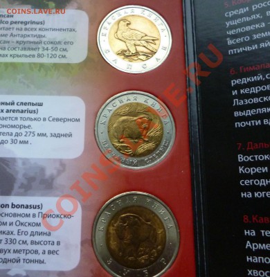 ЯНАО, КК, Сочи, Эмблема, Бим мешк и обор, ГВС, Юб 1999-2001 - КК 8.JPG