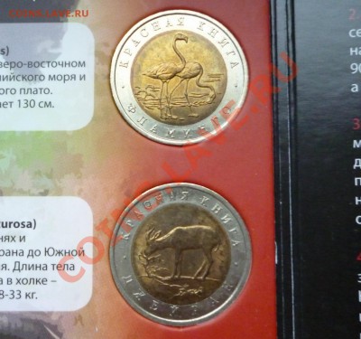 ЯНАО, КК, Сочи, Эмблема, Бим мешк и обор, ГВС, Юб 1999-2001 - КК 7.JPG