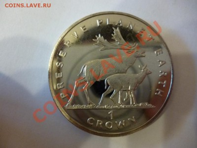 ДК Мэн 1 крона Лоси 08.04 - P1020983.JPG