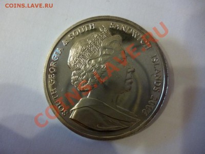 ДК Джорджия и Сэндвич 2 фунта Птицы 08.04 - P1020986.JPG