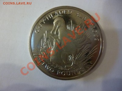 ДК Джорджия и Сэндвич 2 фунта Птицы 08.04 - P1020985.JPG