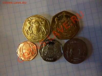 ДК Ботсвана набор животные 08.04 - P1020994.JPG