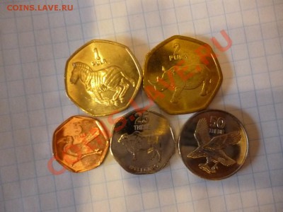ДК Ботсвана набор животные 08.04 - P1020993.JPG
