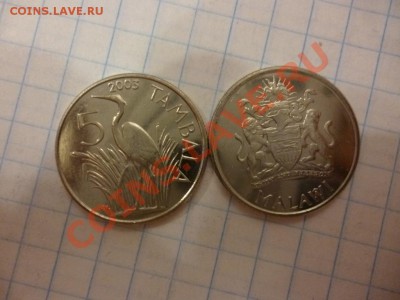 ДК Малави 5 тамбала Цапля ФИКС 08.04 - P1020938.JPG