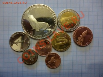 ДК Найтингелл Тристиан Да кунья животные 08.04 - P1030007.JPG
