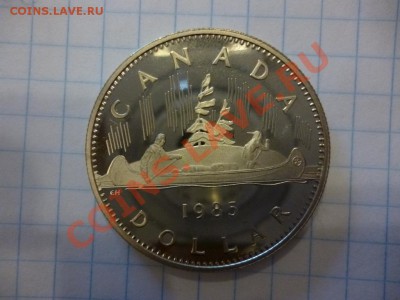ДК Канада 1 доллар 1985 каноэ пруф 08.04 - P1030032.JPG