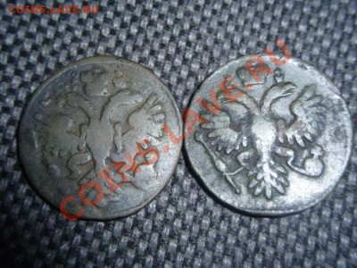 Деньги 1731(одна черта),1735 года. - 201304060002