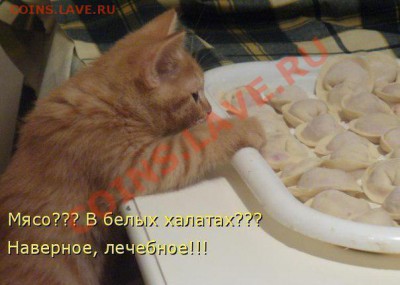 юмор - EEVLdfO_1Rk