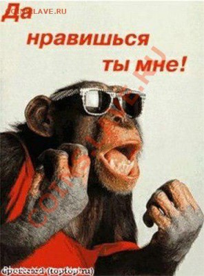 юмор - Et-8Id5gNCc
