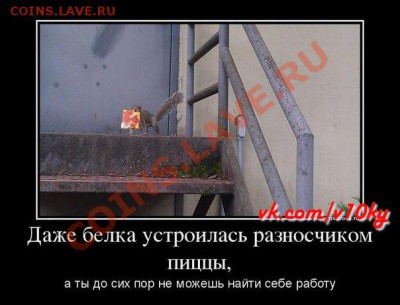 юмор - WCpwu8ucKPM