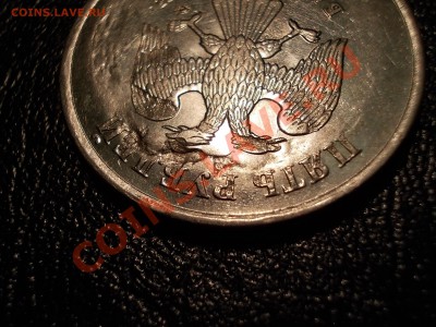 5 рублей 2009 ммд - DSCN2224.JPG