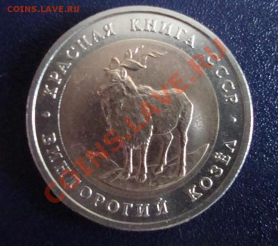 КК Винторогий козёл, 5 рублей, 1991 год до 21.00 10.4.13 г. - DSC02193.JPG