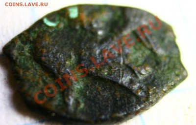полушки на опознание и оценку и чешуйки медные всего 12шт - IMG_5834