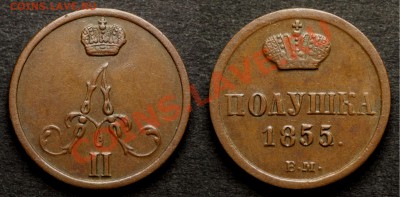 Коллекционные монеты форумчан (медные монеты) - Polushka 1855 BM a small