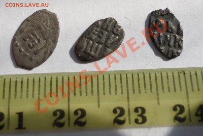 3 чешуйки помощь в определении и оценке - DSC00550.JPG