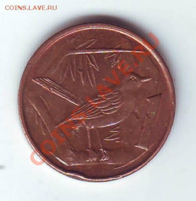 Кайманы.Цент.1996.Птица. до 15 Апреля - птичка0001.JPG