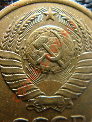 3 к 1982 г Новая разновидность -хребет(?!!) - DSC03330_меньше 2 мб.JPG