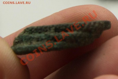 погодовка ПОЛУШЕК красивых до 22-00 12 апреля - _MG_2087