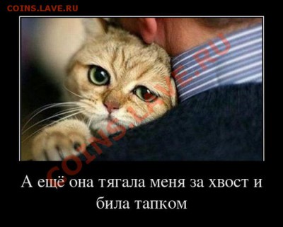 юмор - ябеда