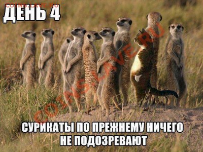 юмор - getImage