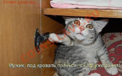 юмор - getImage (5)