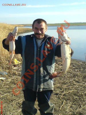 Рыболовные приманки от известной фирмы рапала - DSC01334.JPG