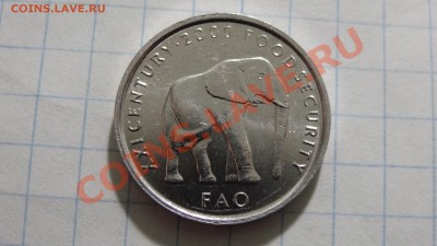ФАО Сомали 5 шиллингов 2000 UNC до 15.04. в 22:00 - DSC02433.JPG