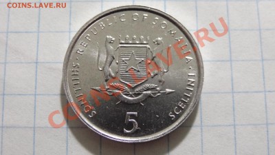 ФАО Сомали 5 шиллингов 2000 UNC до 15.04. в 22:00 - DSC02434.JPG