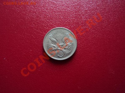 5 центов Австралия Ехидна 1966 - DSC00244.JPG