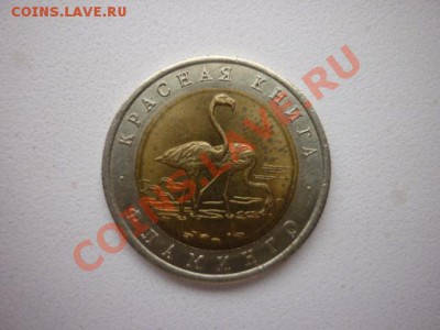 КК.94. "ФЛАМИНГО". до 22.00 мск 12.04.2013 - 142.JPG