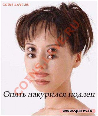 юмор - getImage (8)