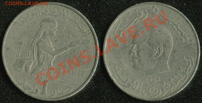 Тунис 1 динар 1988 до 22:00мск 18.04.13 - Тунис 1 динар 1988