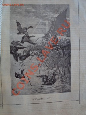 Охотничий вестник 1902г - DSC02659