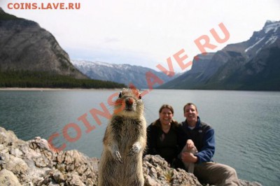 юмор - getImage (5)