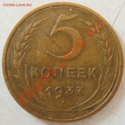 5 КОП. - 1929, 1937, 1945, 1951. Определение, оценка. - P1070218.JPG