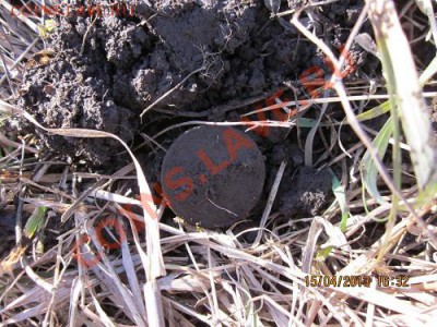 только с копа - IMG_1163.JPG