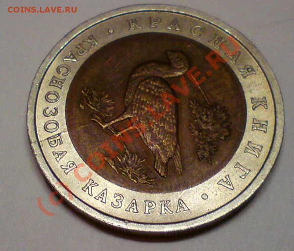 Казарка, Брак? На оценку - казарка01.JPG