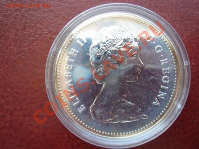 Канада: Ag-500 1$ 1980 UNC Медведь в капсуле до 22.04 22 - Канада доллар 1980 медведь-2.JPG
