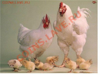Игра "Железная Логика" - Безымянный.JPG
