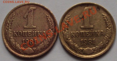 1 копейка 1981 год - DSC03166.JPG