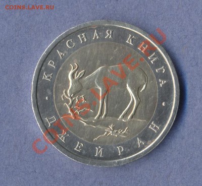 1 - Джейран.0001