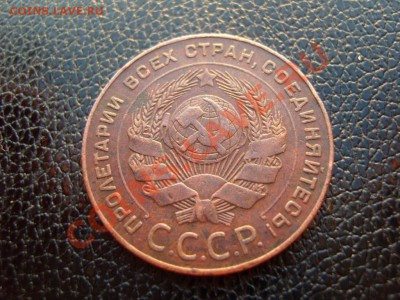 Два пятака 1924 года.Оценка. - SS100912.JPG