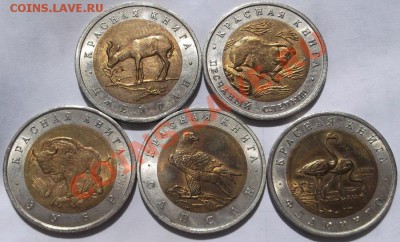Красная книга - 1991-1994 полная до 22 апреля 23 -00 мск - DSCF2682.JPG