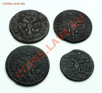 денги 1704,06,07, полушка 1707 - DSC03660.JPG